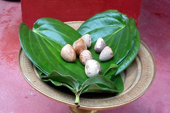 Tamul paan